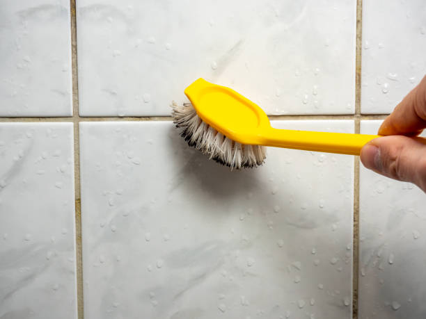 Best Mold Damage Repair  in Pittsfield, MA