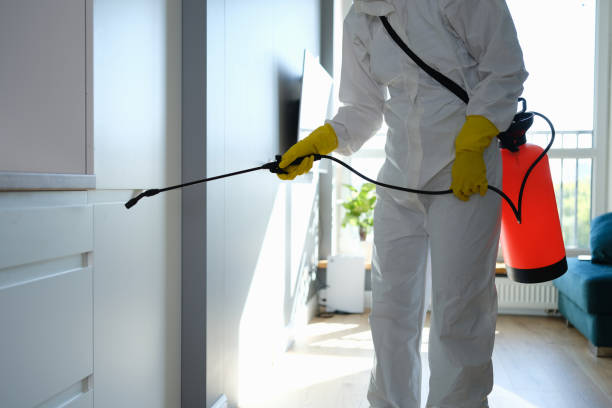 Best Attic Mold Removal  in Pittsfield, MA